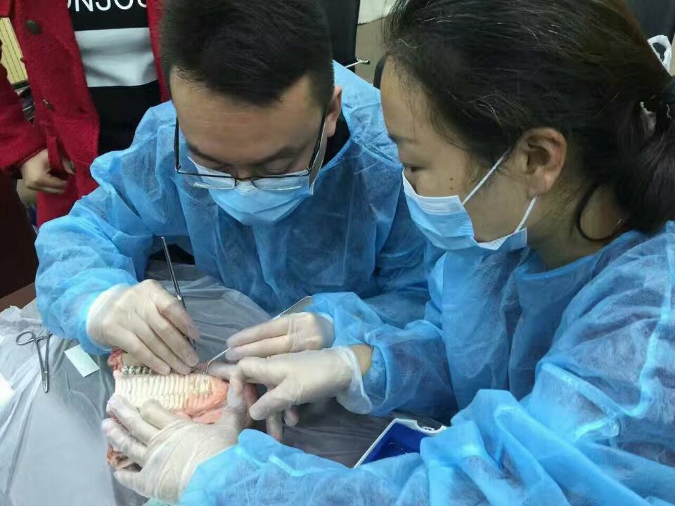 西安阳光口腔 十年老店 经验丰富(图5)