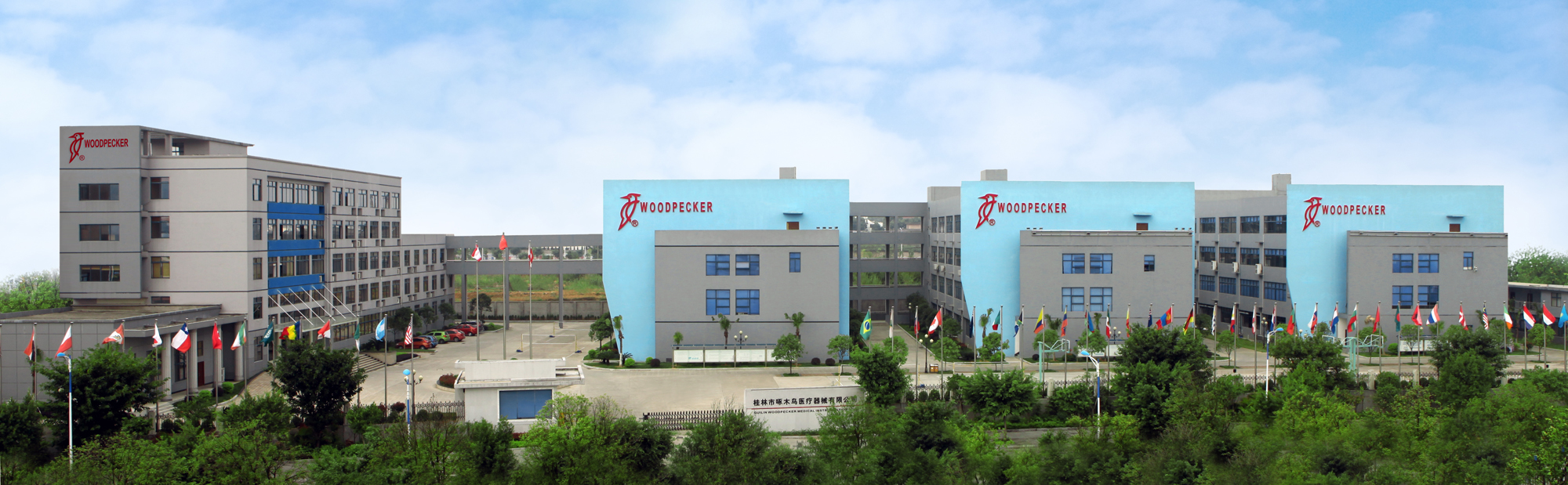 桂林市啄木鸟医疗器械有限公司(图1)