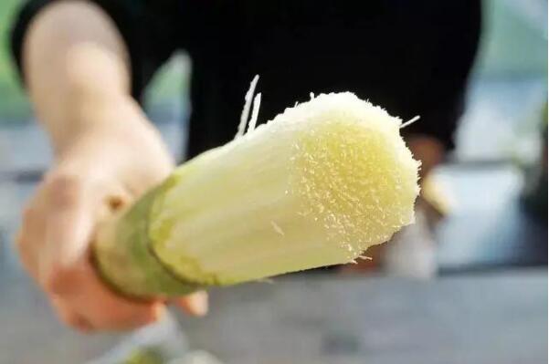 防止牙龈出血、防龋，就用含氟舒客牙膏(图4)