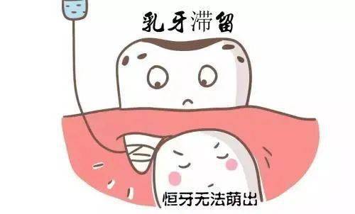 什么时候是换牙期？孩子换牙时期要注意哪些问题？(图2)