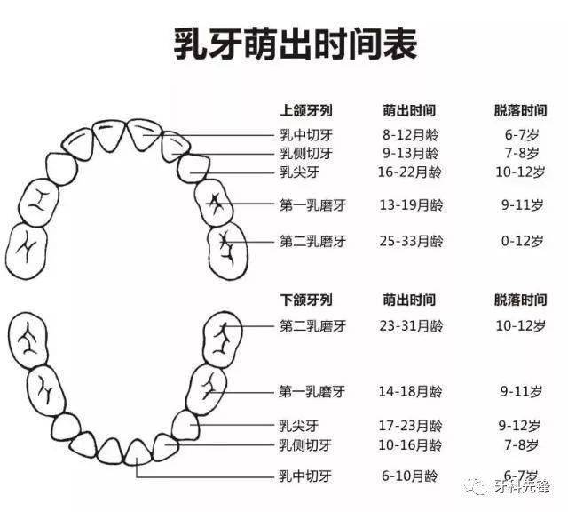 “奶瓶龋”再不重视，孩子牙齿就彻底毁了！(图7)