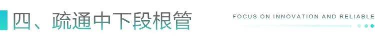 根管治疗中器械操作步骤(图7)