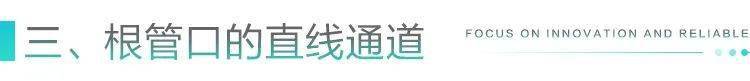 根管治疗中器械操作步骤(图3)