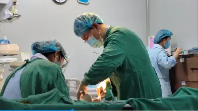 贝臣口腔数字化种植修复缺牙，口福尽享，现在预约可享免费拍片、方案定制等！(图6)